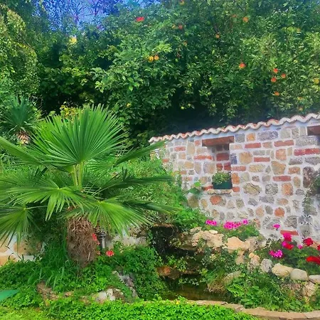 Forest Paradise Διαμέρισμα