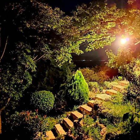 Forest Paradise Διαμέρισμα *